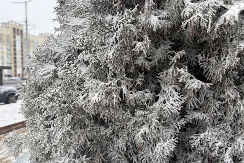 Собрали приметы и запреты на 24 ноября, когда отмечают день Федора Студита. Снимок носит иллюстративный характер. Фото: архив «КП»