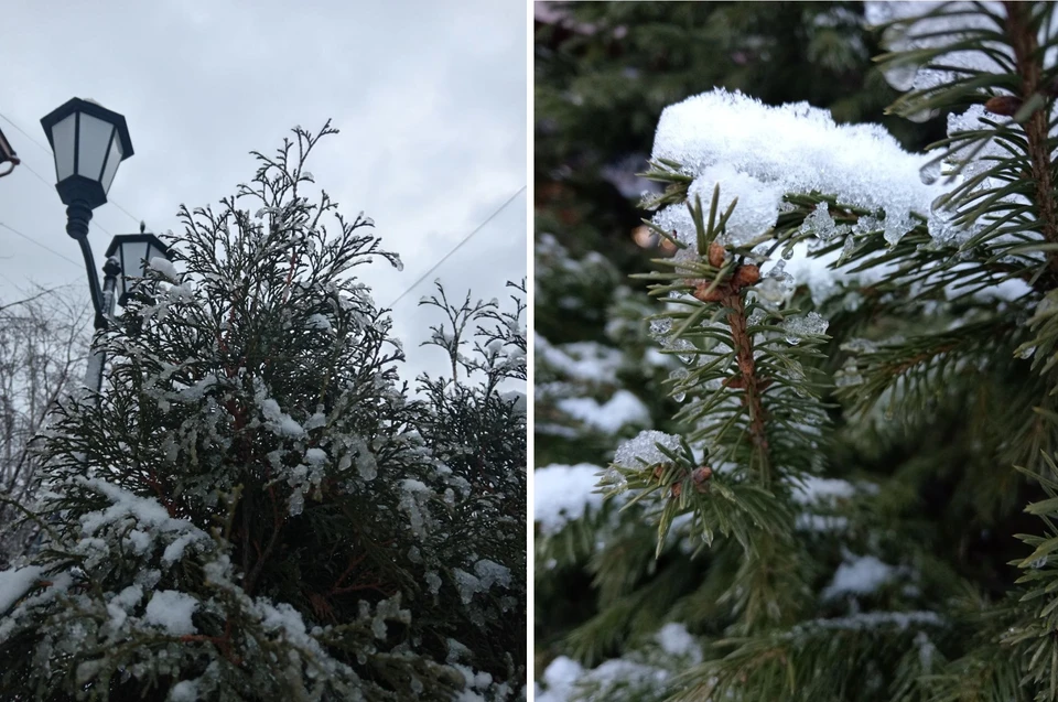 25 эксклюзивных снимков сибирского ноября. Фото: Елена Мануйлова