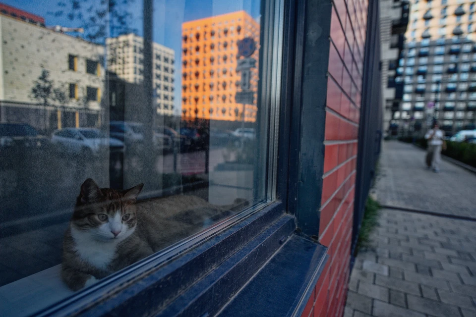 В 2025 году по процедуре приватизации в собственность ульяновцев перешли 286 помещений. Фото: архив КП