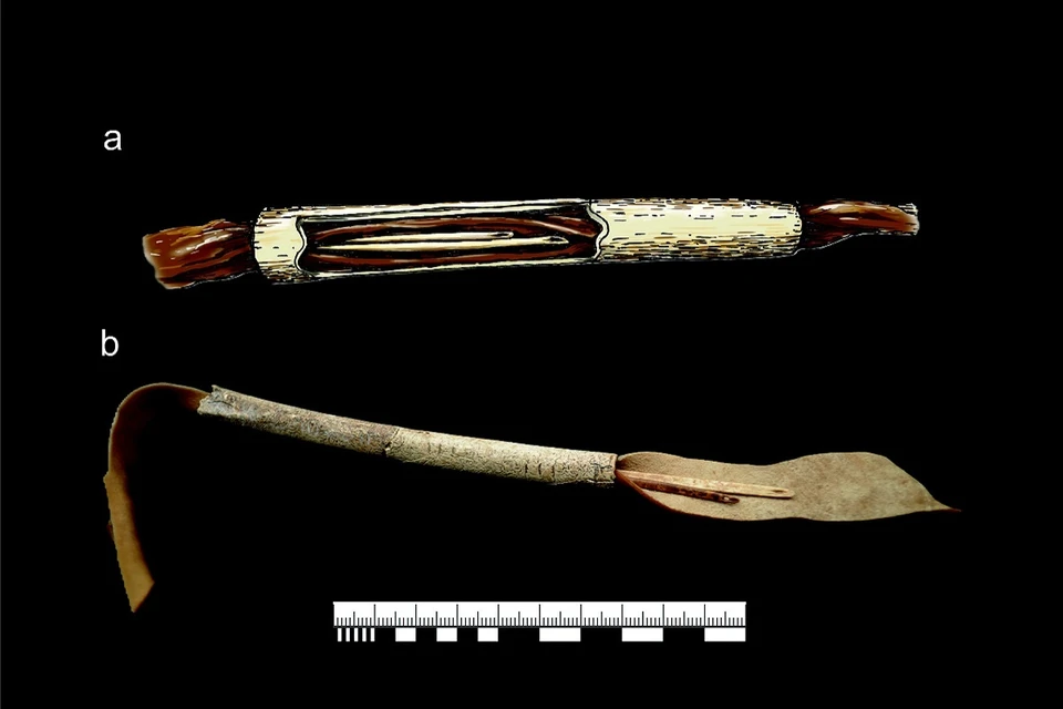 Открытие сделали с помощью компьютерной микро-томографии. Фото: Институт археологии и этнографии СО РАН