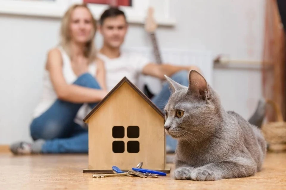 В России предложили усилить контроль над риелторами: изменения продвигают после истории с Ларисой Долиной