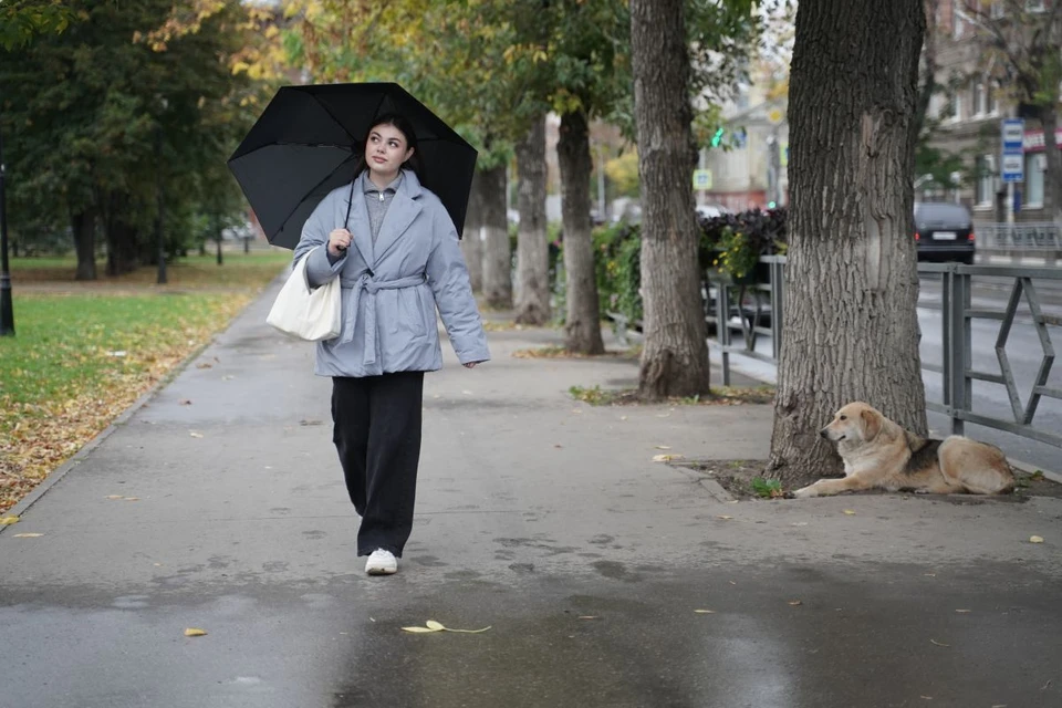 Погода на Кубани испортится