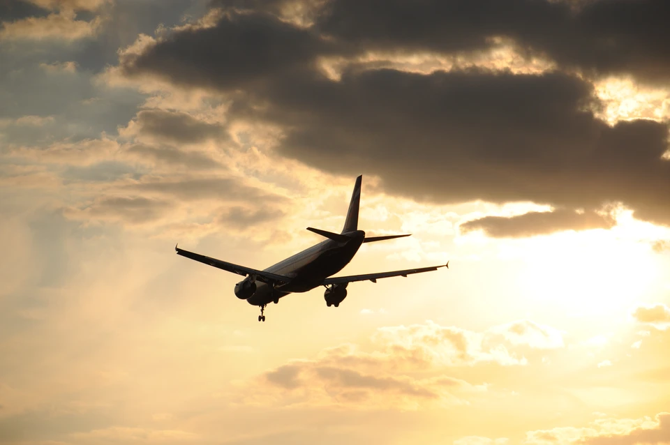 Некоторые перевозчики просят справку от врача на поздних сроках беременности