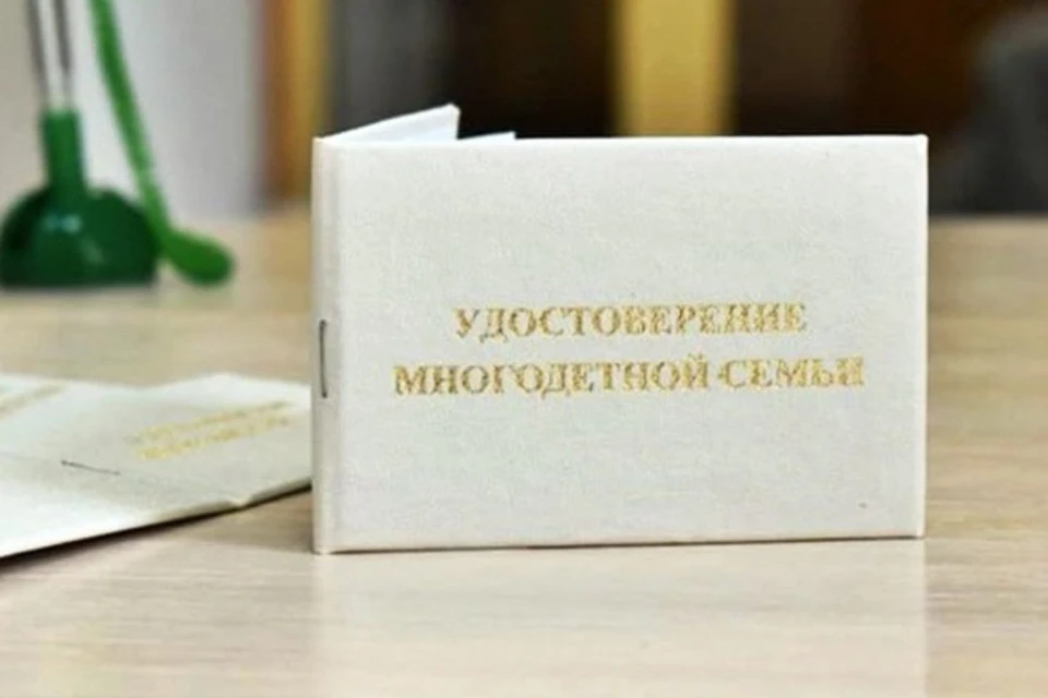 Все многодетные семьи в ДНР должны до нового года получить новые удостоверения единого образца. Фото: Минтруда ДНР