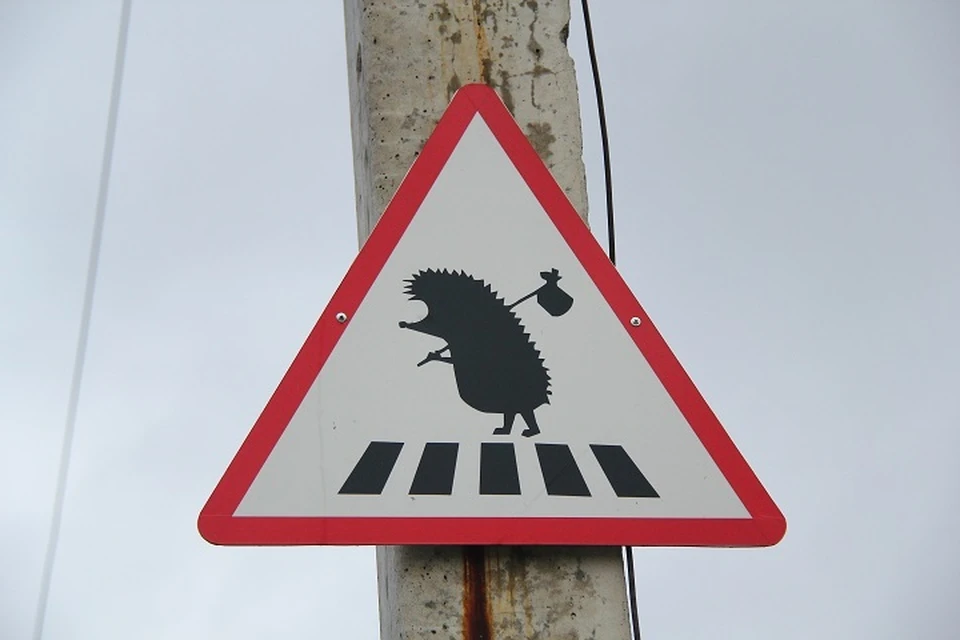 Значительно ограничена видимость на трассе Ставрополь – Александровское – Минеральные Воды.