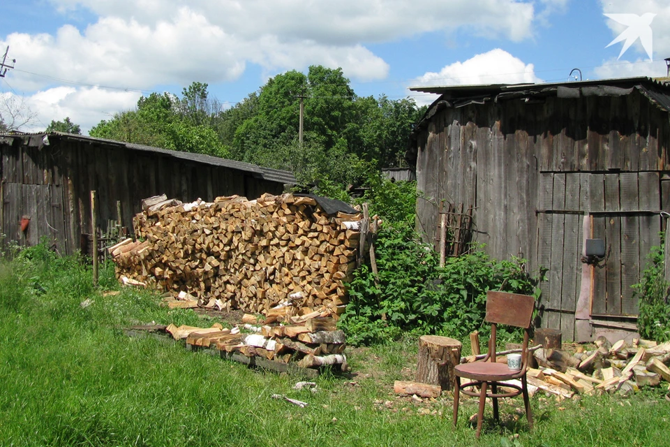 Минлесхоз взял на контроль продажу дров населению в Беларуси. Фото используется в качестве иллюстрации: архив «КП».