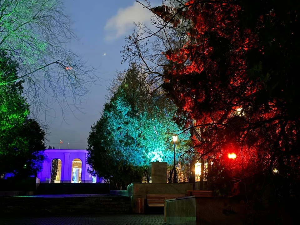 Входная группа и центральная лестница «Владимирского сада» засияла разноцветными огнями. ФОТО: администрация Ульяновска