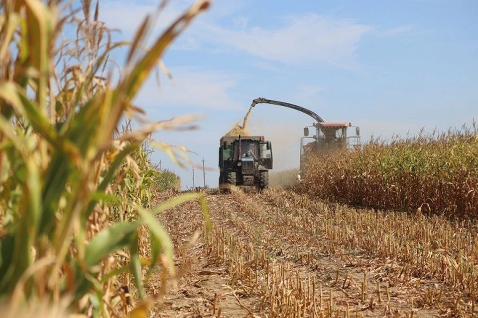 Одним из факторов, повлиявших на повышение урожайности, стало обновление машинно-тракторного парка. Фото: администрация Предгорного округа.