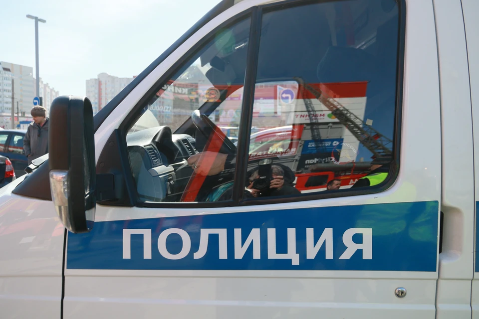 Подозреваемые взяты под стражу