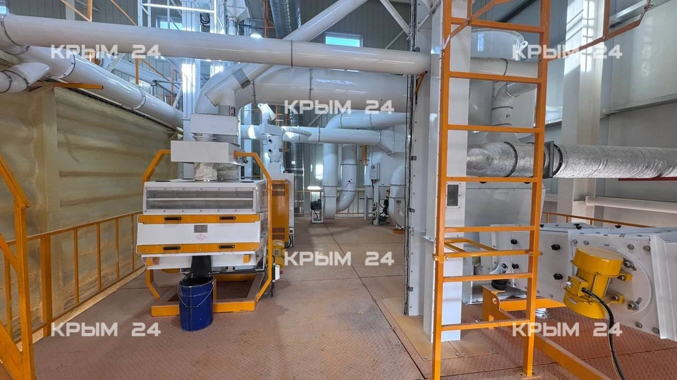 Фото: «Крым 24»