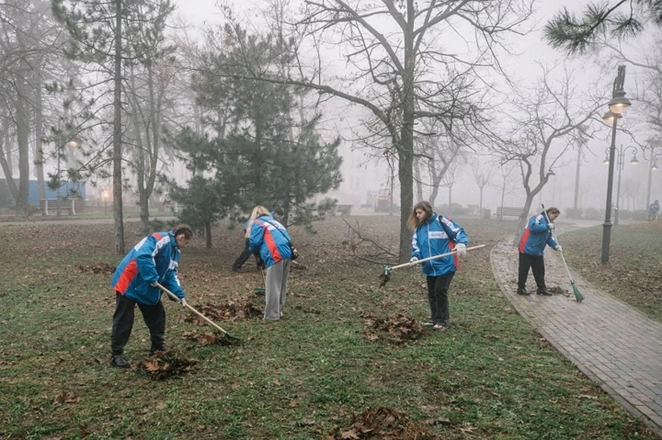 Студенческие отряды ДНР помогают благоустраивать парки в Мариуполе. Фото: ТГ/Кольцов