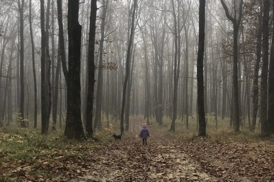 Кубань встретит декабрь не совсем зимней погодой