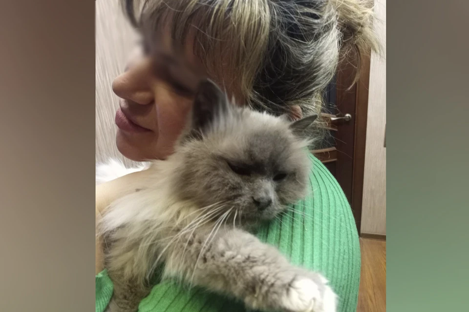 Спасенный котик и его хозяйка. Фото: t.me/koshkispas