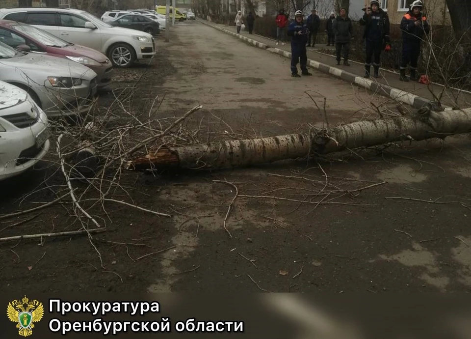 Следователи осмотрели место происшествия, назначены судебные экспертизы.