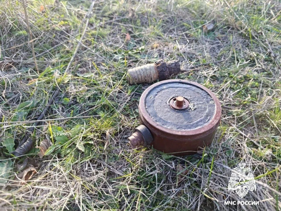 Взрывоопасные предметы вывезли на специальный полигон. Фото: МЧС Крыма/Tg