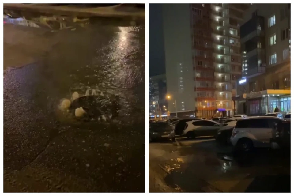 Фото: стоп-кадр видео телеграм-канала zaitsev24