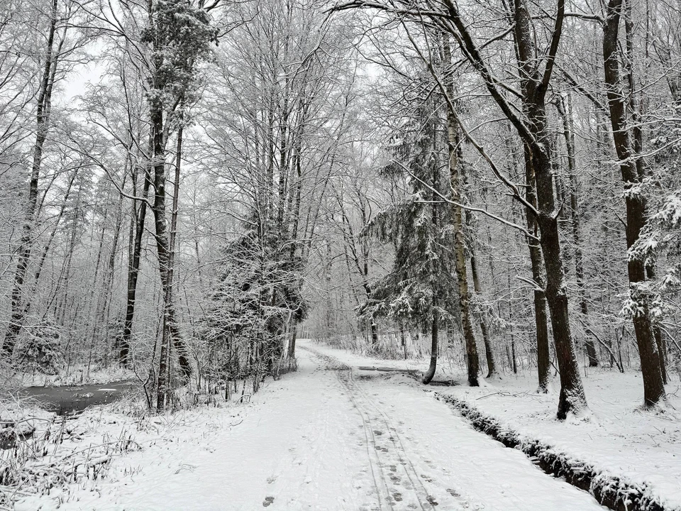 Через Тюменскую область пройдет морозный фронт с похолоданием.