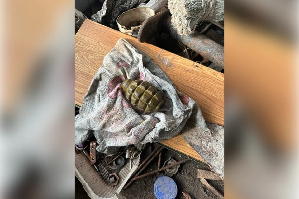 Гранату нашли у жителя поселка Веселое. Фото: ГУ МВД России по Запорожской области