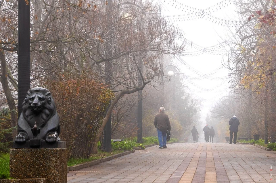 В Ростове будет туманно, а по области возможны дожди и заморозки.