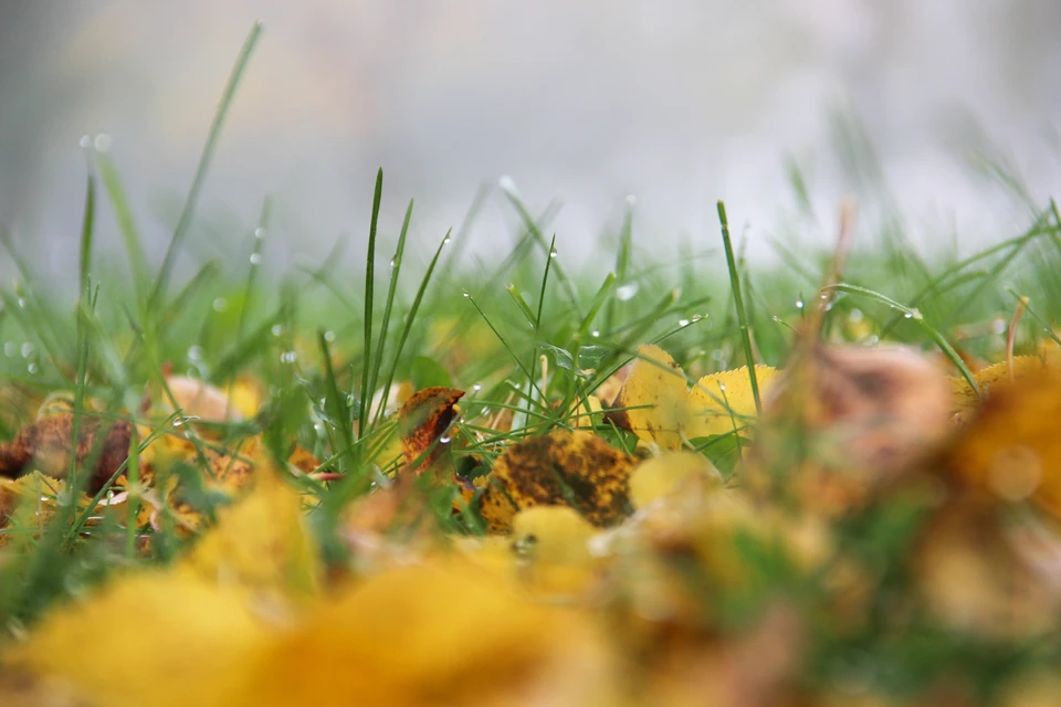 Главное управление МЧС России по Республике Крым рекомендует соблюдать осторожность.