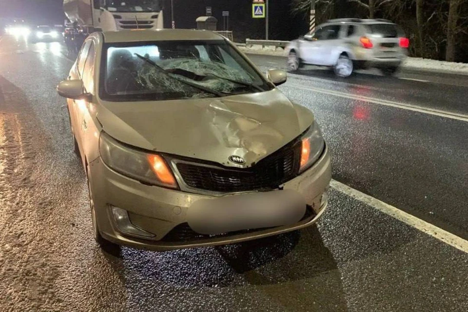 Девушка погибла на месте. Фото: Дорожный контроль Ленобласть.