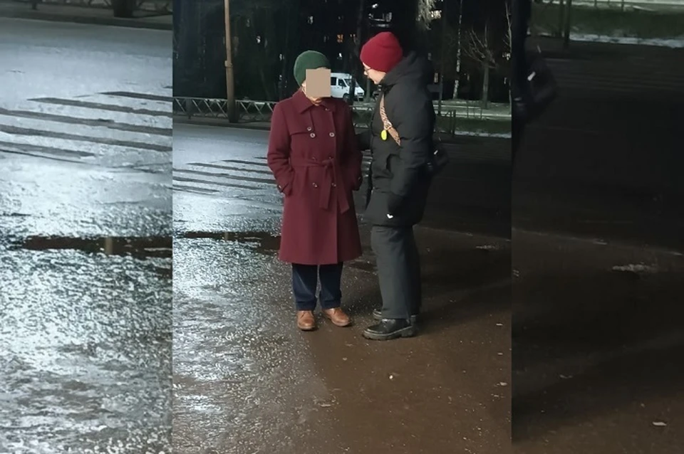 В Ярославле из-за неактуального снимка волонтер чуть не прошел мимо женщины, которую искал. ФОТО: ЯрСпас