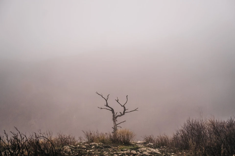 Сложные погодные условия ожидаются в Запорожье.