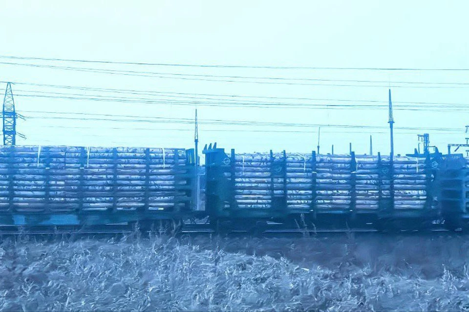 В Иркутске рассмотрят дело о контрабанде леса на 385 млн рублей. Фото: Восточно-Сибирское ЛУ МВД России на транспорте.