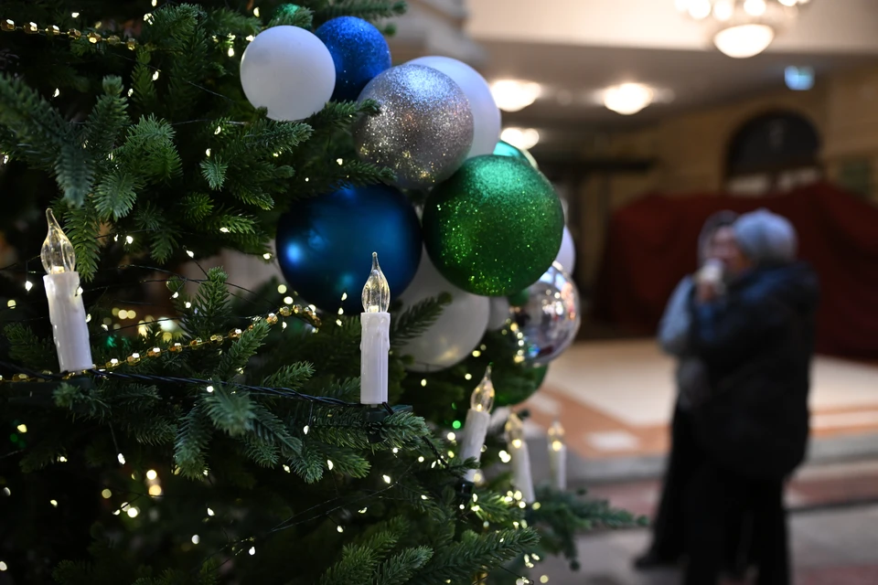 Ели украсят к Новому году