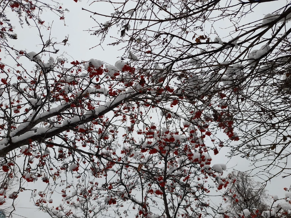 Погода на Ямале на 3 декабря