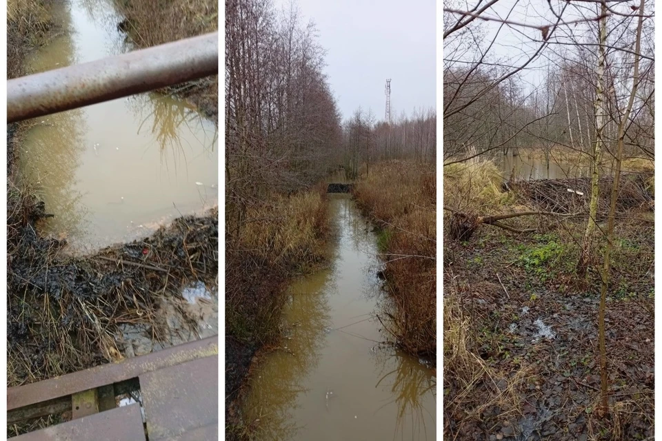 Канализационные стоки отравляют жизнь поселка. Фото: сообщество в VK "ВарскиеLive".