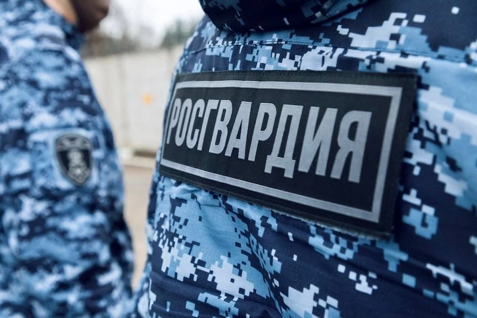 Росгвардейцами задержан нетрезвый мужчина, проникший в школу на юге Москвы. Фото: пресс-служба ГУ Росгвардии