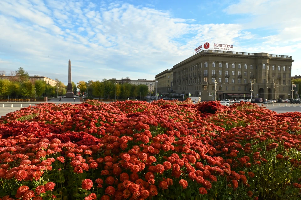 Планы по развитию Волгограда прописали на 20 лет вперед.