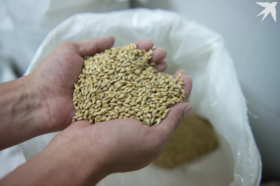 С начала года в Удмуртии выявили 56 фактов недостоверного декларирования зерна