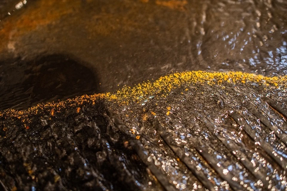 Компанию в Магадане оштрафовали за незаконную добычу золота