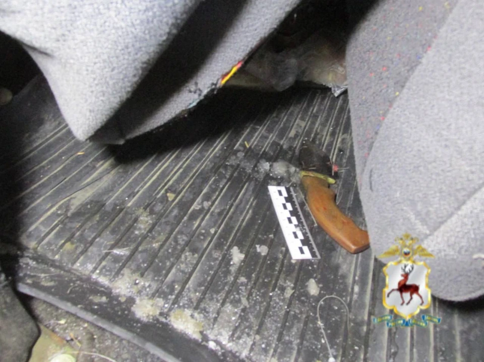 Экс-полицейский предстанет перед судом за незаконную охоту на лосей под Балахной.