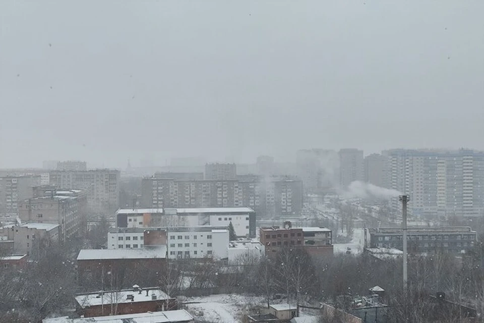 Хорошего дня! Фото: Таня Трушкова