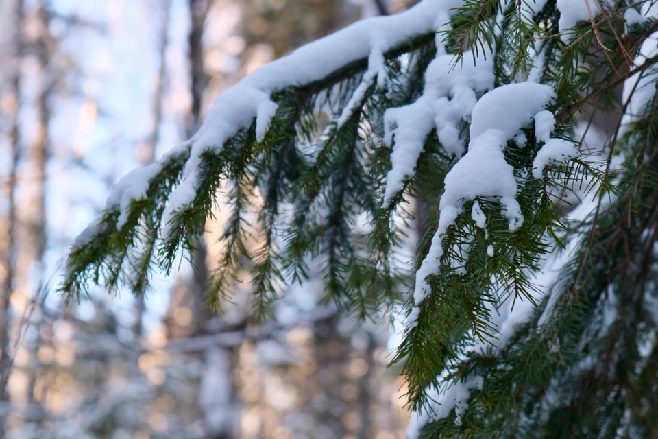 Погода в Иркутске 7 декабря 2025.