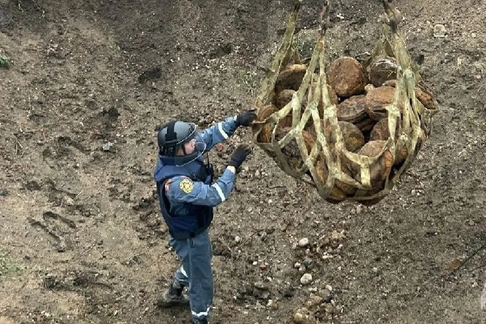 Находку сделали недалеко от ж-д станции "44-й км". Фото: МЧС Санкт-Петербурга