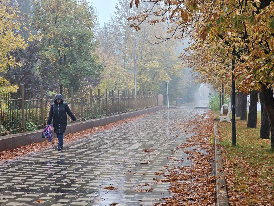Погода в Волгограде.