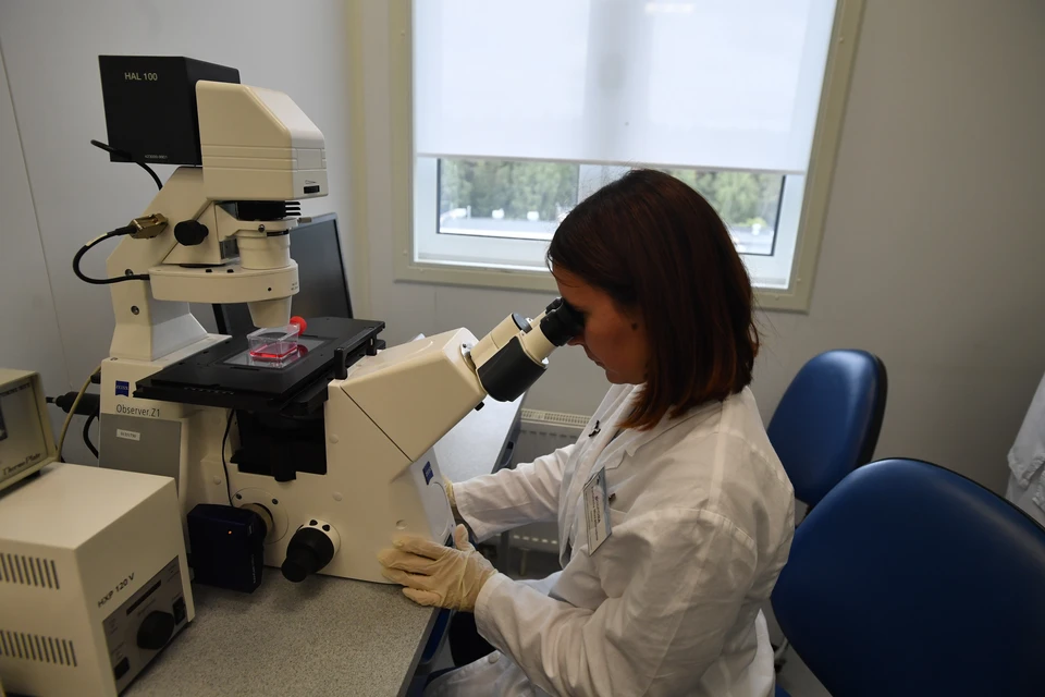 Кластер по производству силиконовых имплантов создадут в Нижнем Новгороде