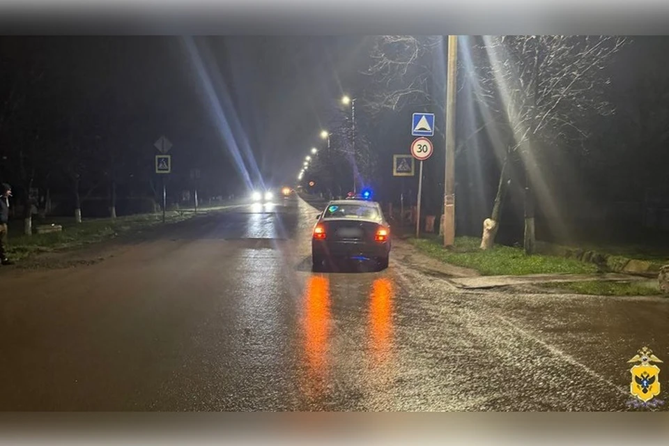 Авария с пострадавшей случилась в Новотроицком. Фото: ГУ МВД России по ХО