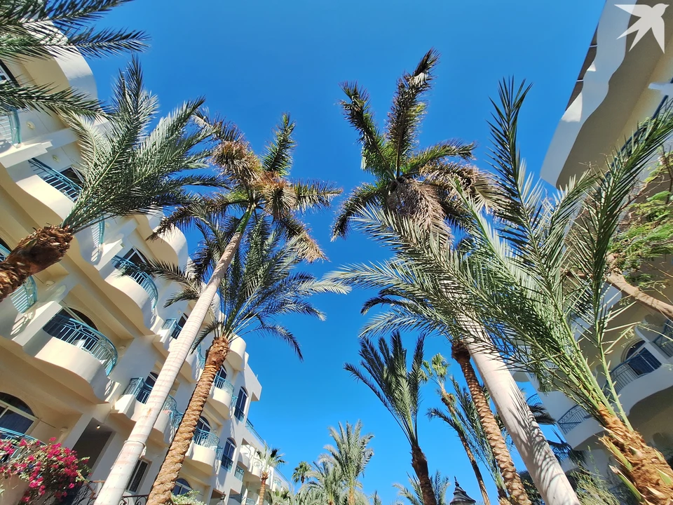 Отдых лучше планировать заранее. Фото: КП