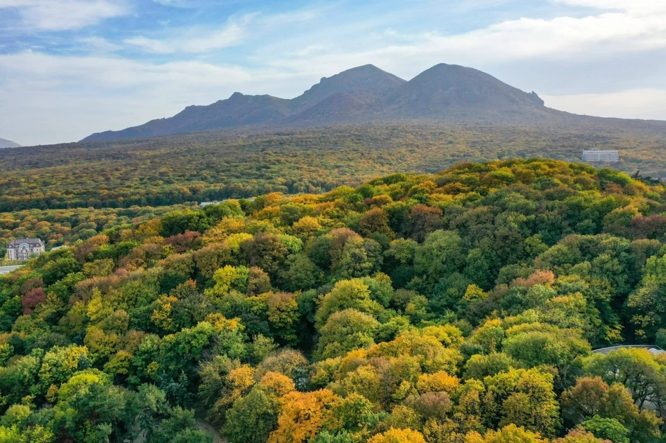 В железноводском лесу начали работать фотоловушки. Фото: мэр Железноводска Евгений Бакулин
