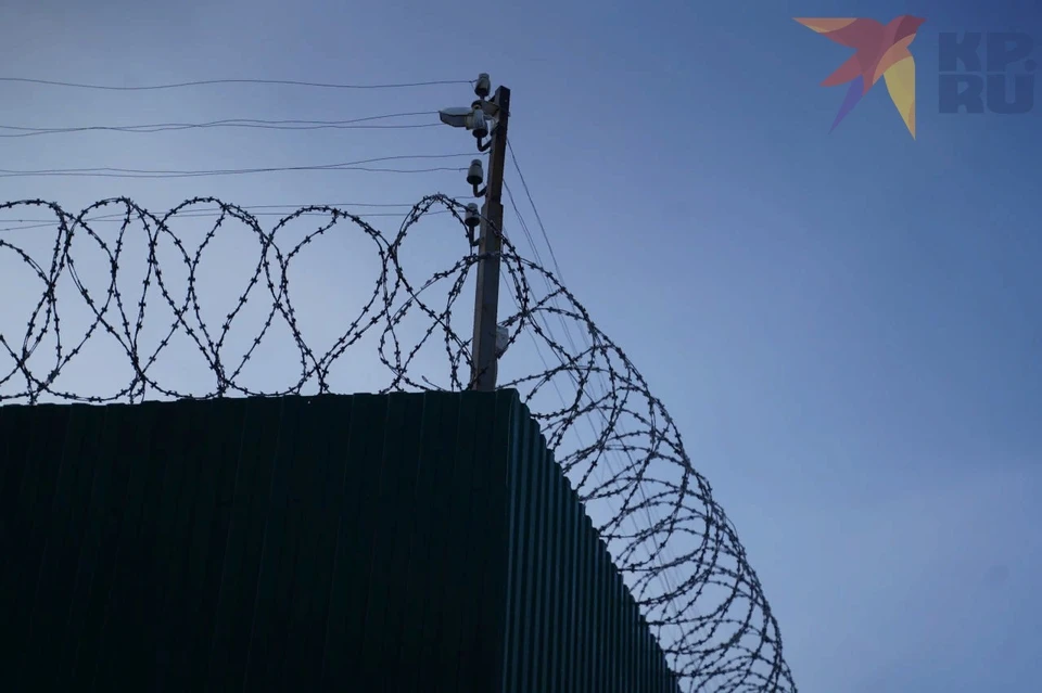 Они проникли на территорию России в обход официальных пунктов пропуска, минуя визовый и паспортный контроль.