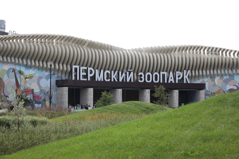 Новогодние каникулы в Пермском зоопарке собрали почти 20 тысяч гостей