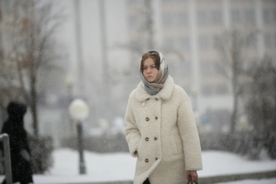 Погода будет облачной с осадками в виде снега и мокрого снега, местами сильными.