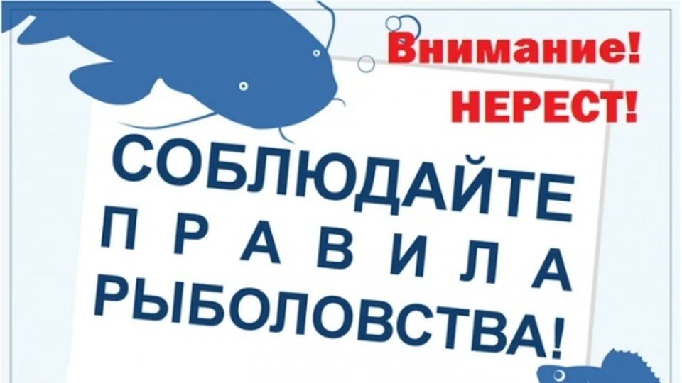 Фото: департамент природресурсов Костромской области