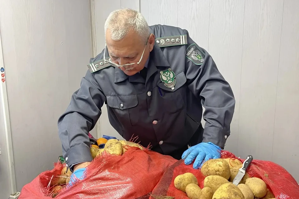 Фото: Южное межрегиональное управление Россельхознадзора