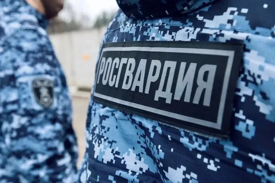 В Подмосковье задержали рецидивистов, находящихся в федеральном розыске